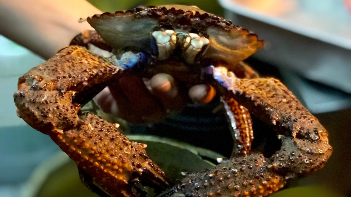 Seafood Padungan Bay Restaurant Photos 2